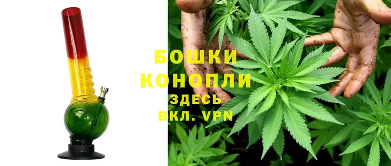 купить наркоту  ОМГ ОМГ   Шишки марихуана OG Kush  Кандалакша 